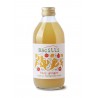 330 ml BACILLI - BIO limonáda FIZZY GINGER
