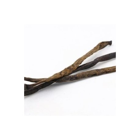 BIO Vanilka lusk 1 kus