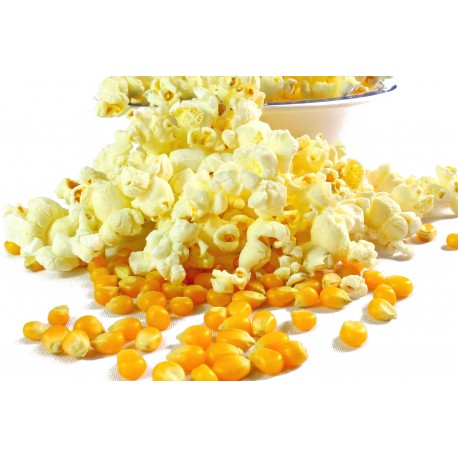 Kukuřice na Popcorn  100 g
