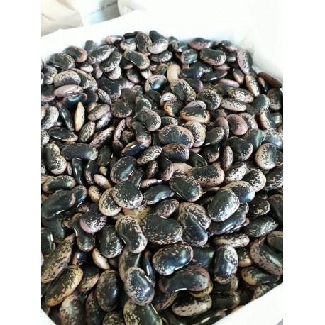 100 g Fazole velké strakaté ze Slovenska